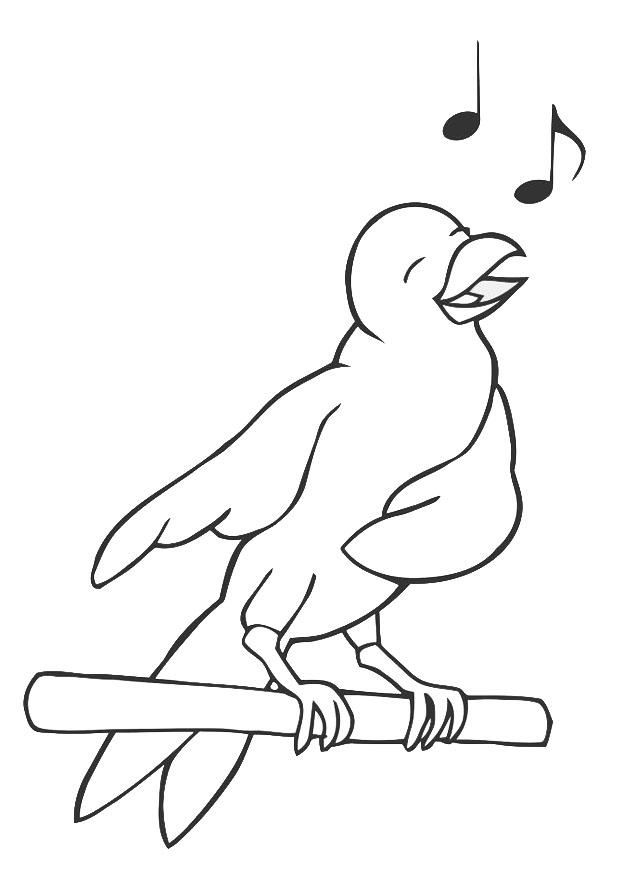 uccello canterino Disegno da colorare uccello canterino