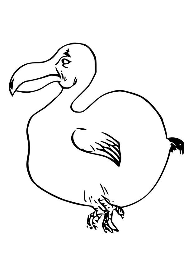 uccello - dodo Disegno da colorare uccello - dodo