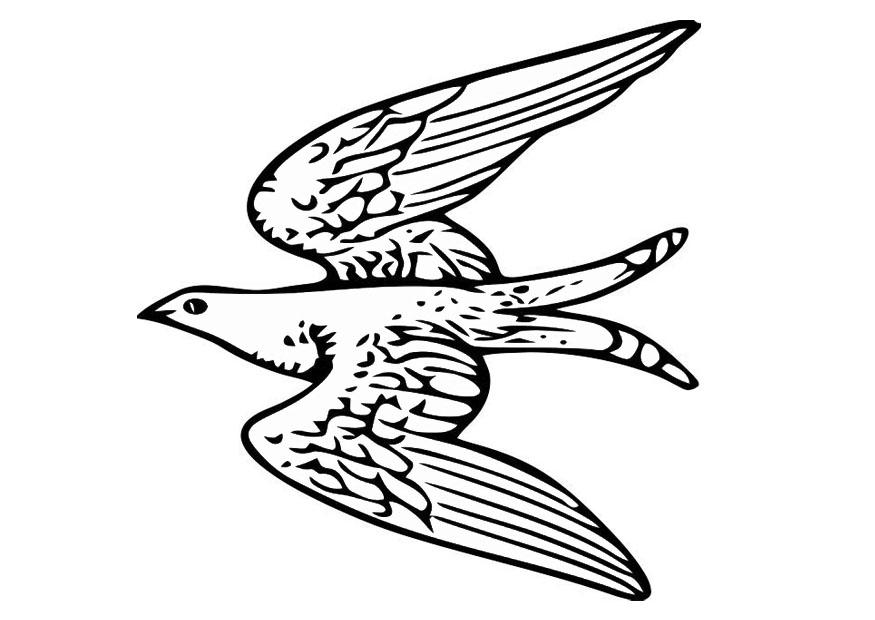 uccello in volo Disegno da colorare uccello in volo