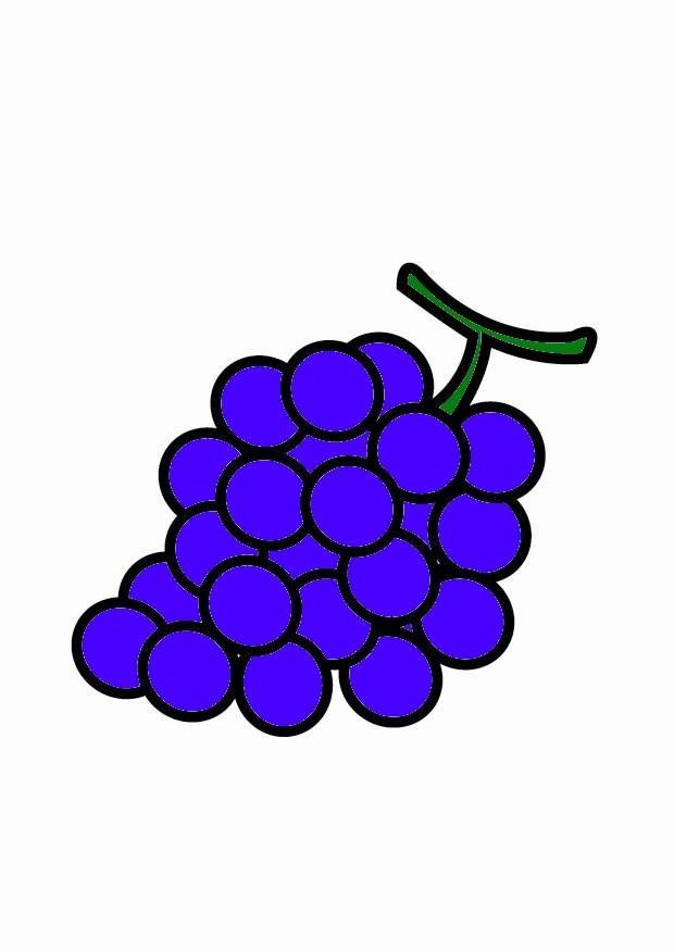 uva immagine uva