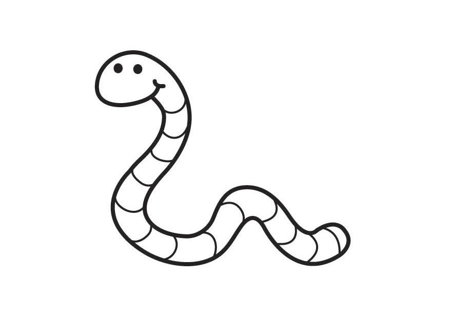 verme Disegno da colorare verme