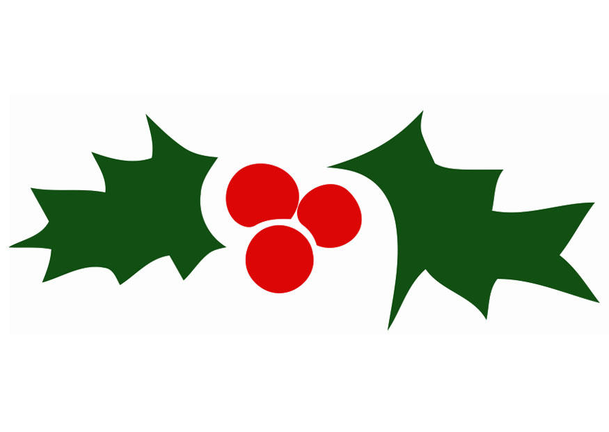 vischio immagine vischio
