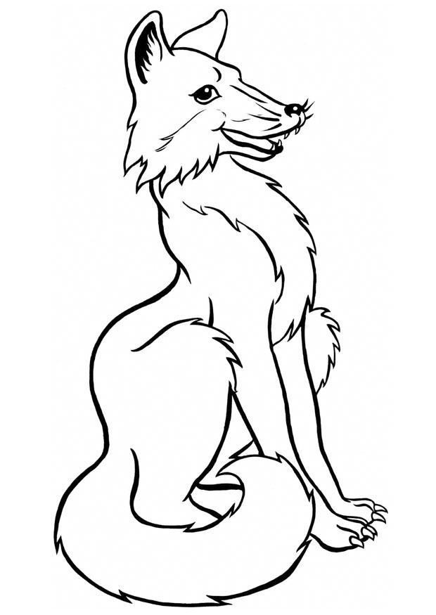 volpe Disegno da colorare volpe