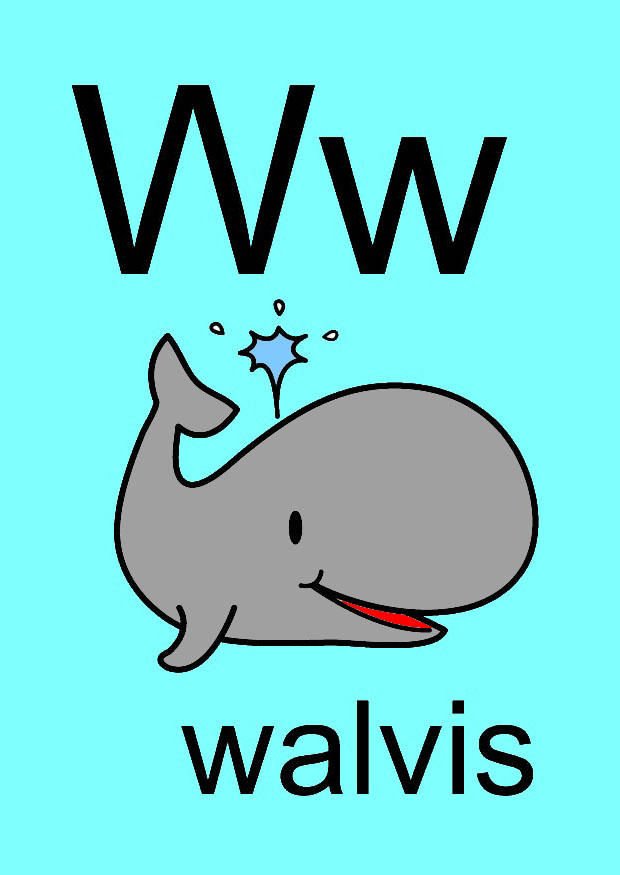 w immagine w