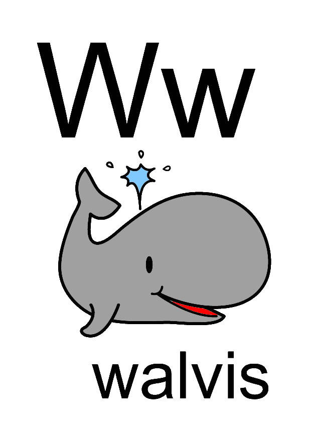 w immagine w
