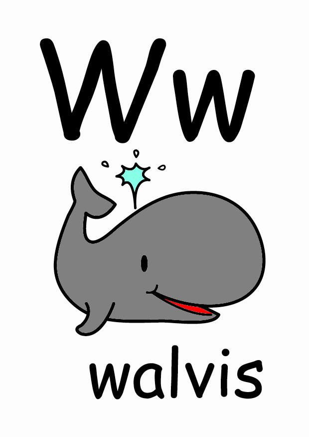 w immagine w