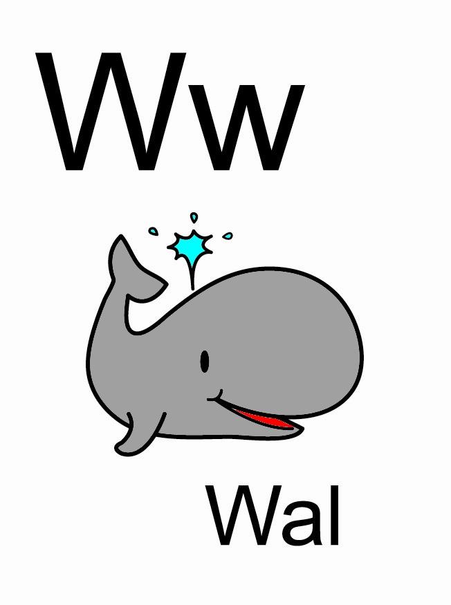 w immagine w