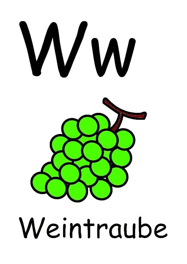 w immagine w