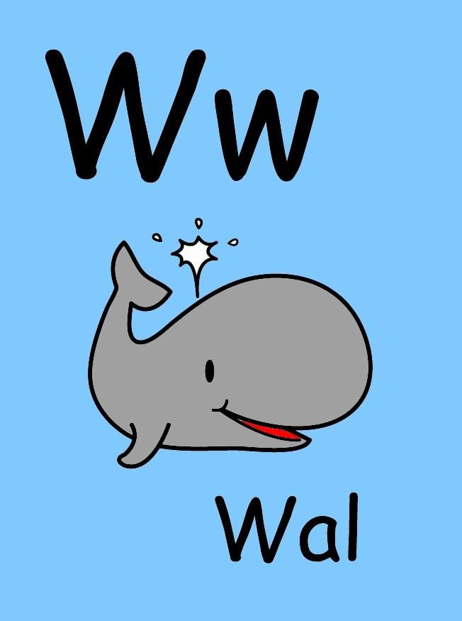 w immagine w