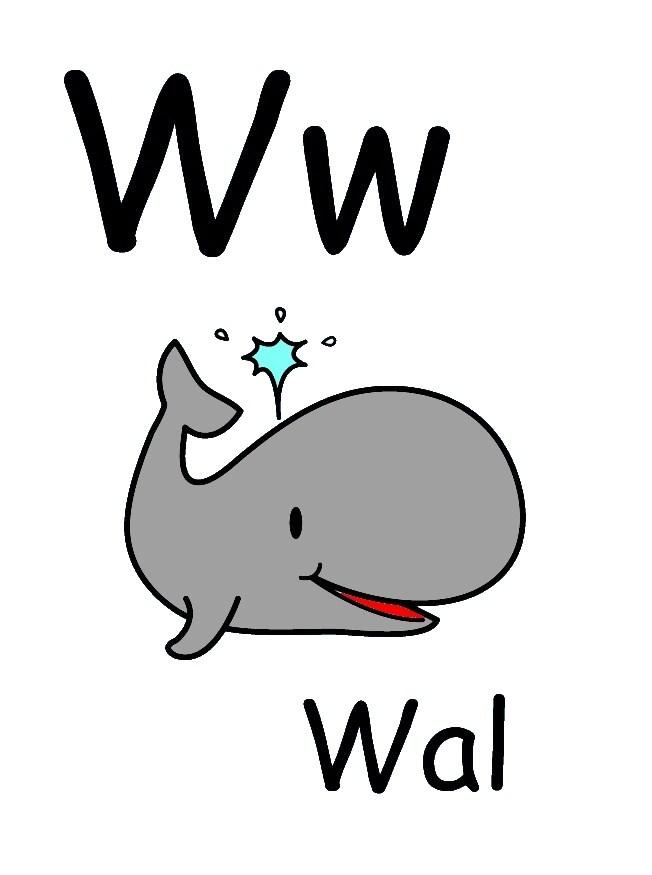 w immagine w