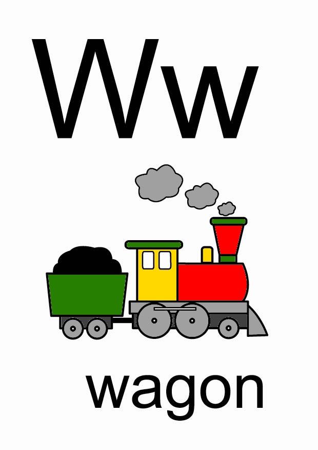 w immagine w