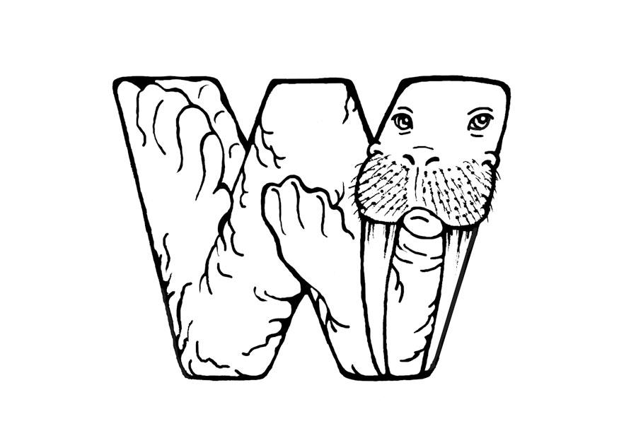 w-walrus Disegno da colorare w-walrus