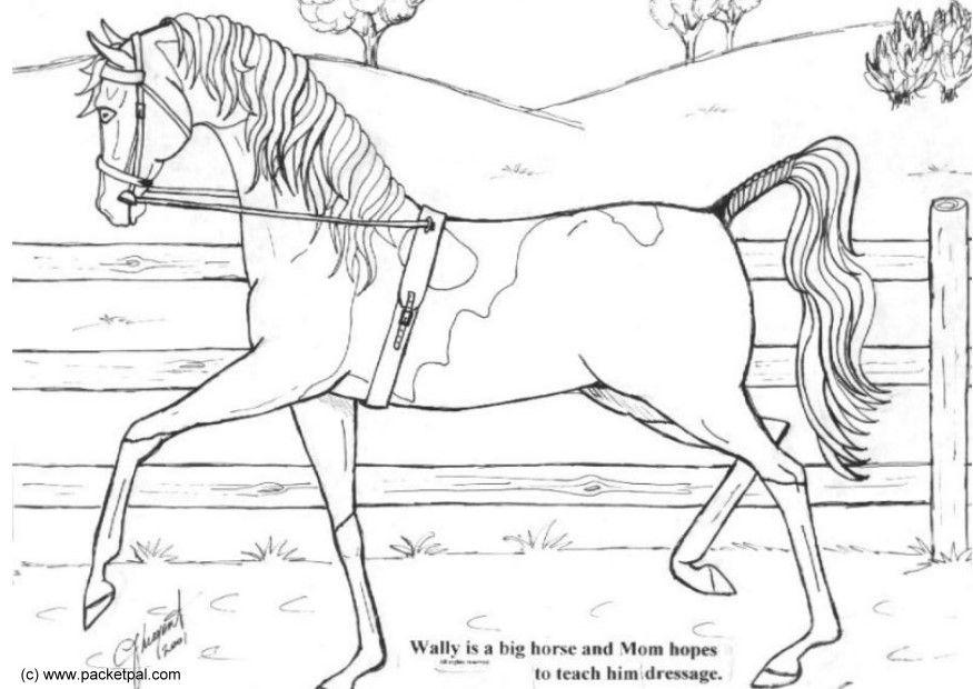 wally addestramento Disegno da colorare wally addestramento