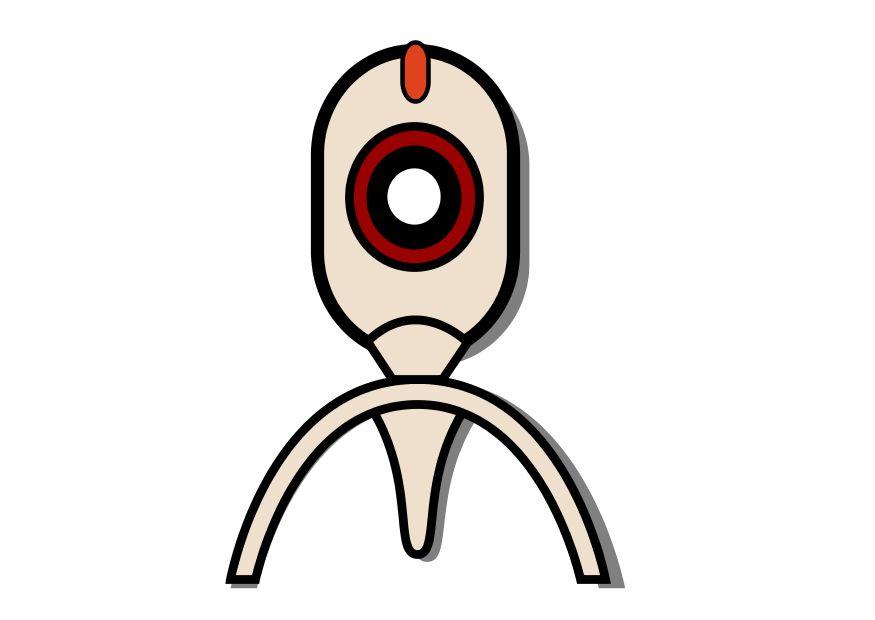 webcam immagine webcam