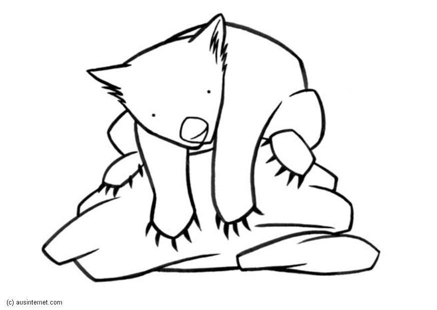wombat Disegno da colorare wombat