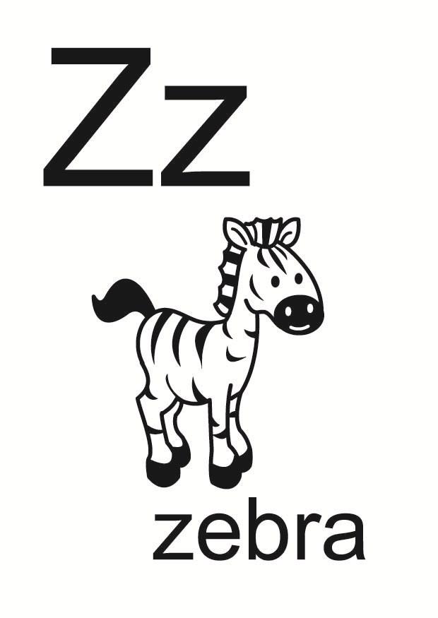 z immagine z