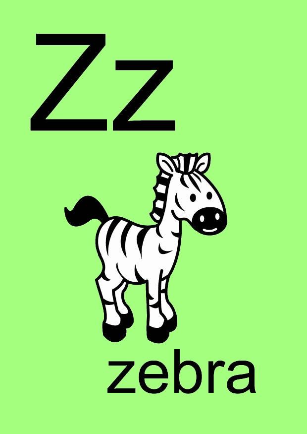 z immagine z