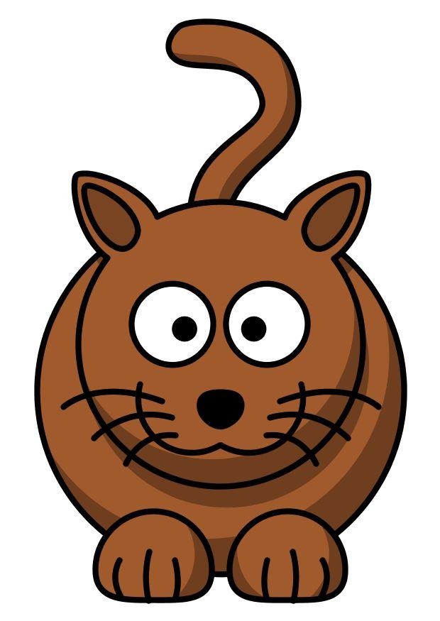 z1 - gatto immagine z1 - gatto