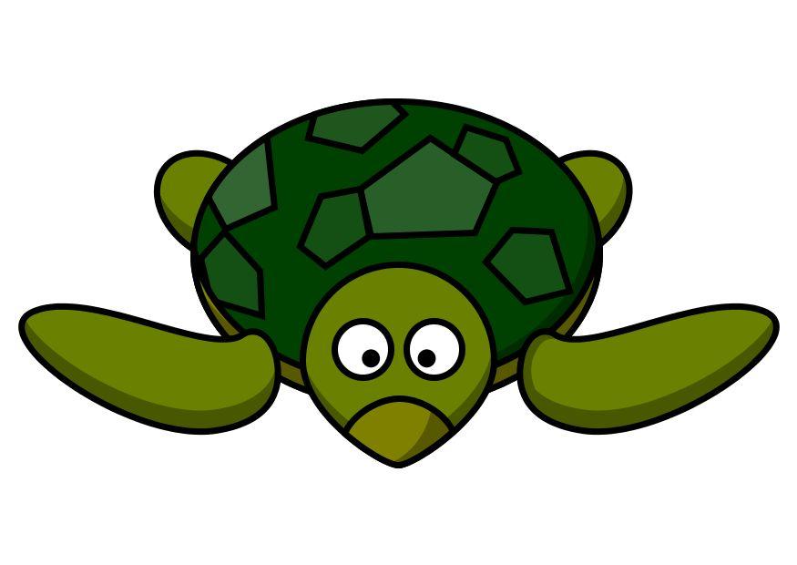 z1-tartaruga immagine z1-tartaruga
