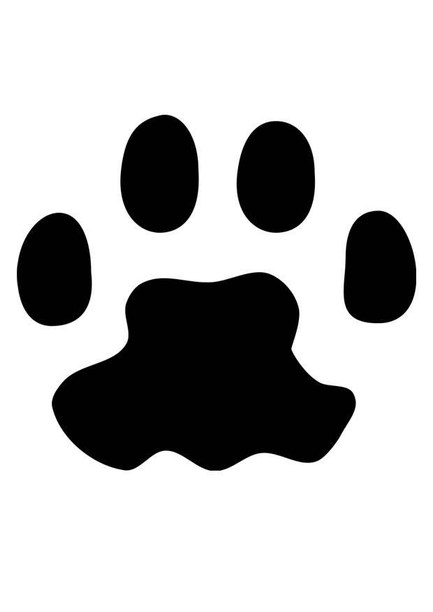 zampa di gatto Disegno da colorare zampa di gatto