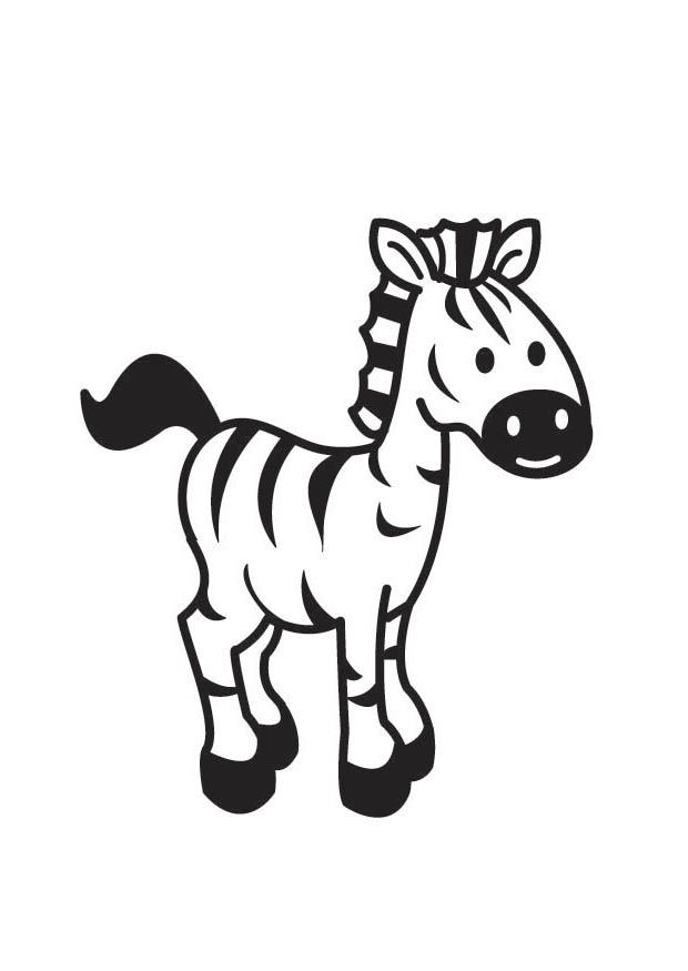 zebra Disegno da colorare zebra