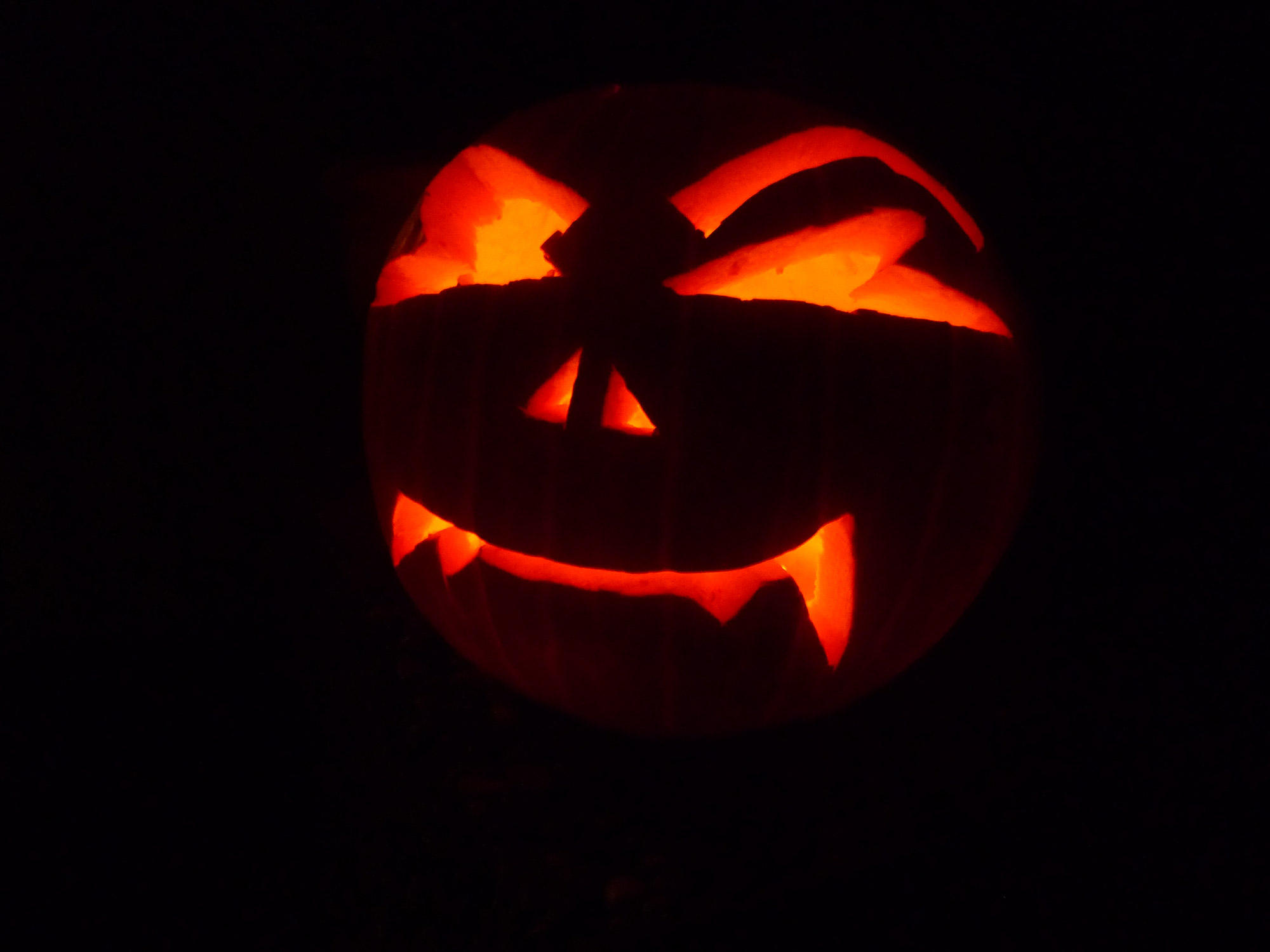 zucca Foto zucca
