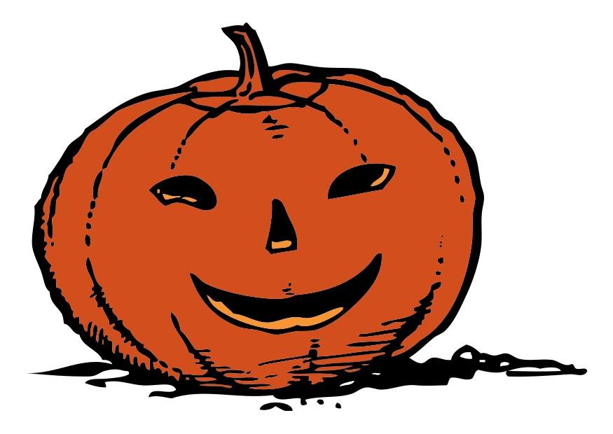 zucca immagine zucca