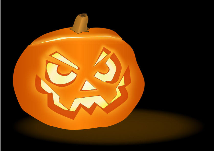 zucca immagine zucca