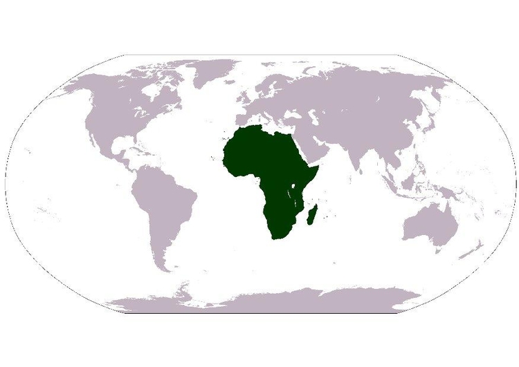 immagine Africa