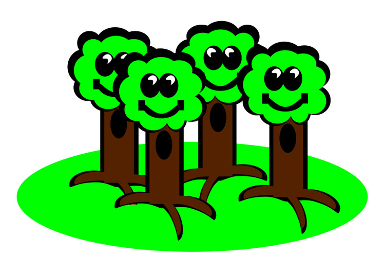immagine alberi