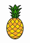 immagine ananas