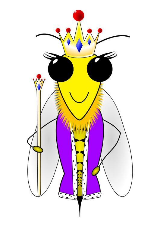 immagine ape regina