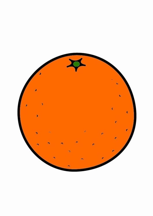 immagine arancio