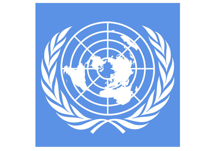 immagine bandiera Nazioni Unite