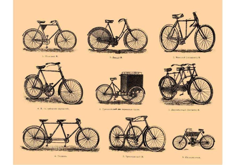 immagine biciclette