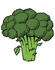 immagine broccoli