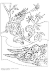 Disegno da colorare cameleonte