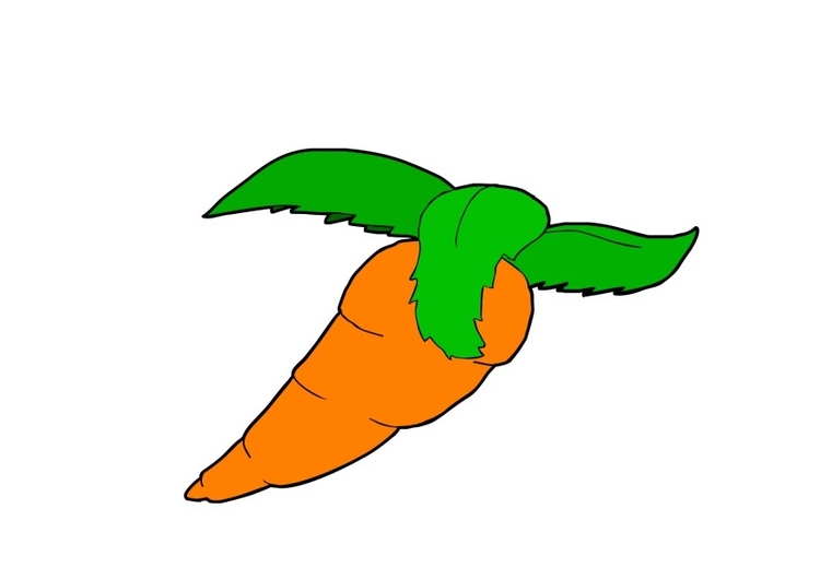 immagine carota
