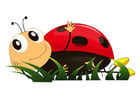 immagine coccinella