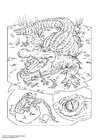 Disegno da colorare coccodrillo