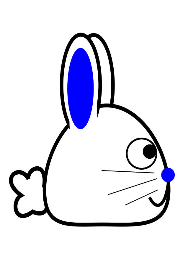 immagine coniglio - profilo