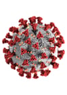 immagini coronavirus