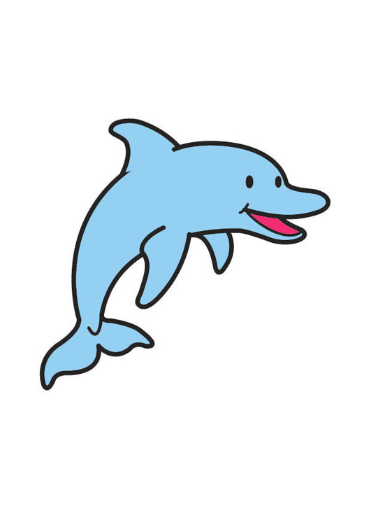 immagine delfino