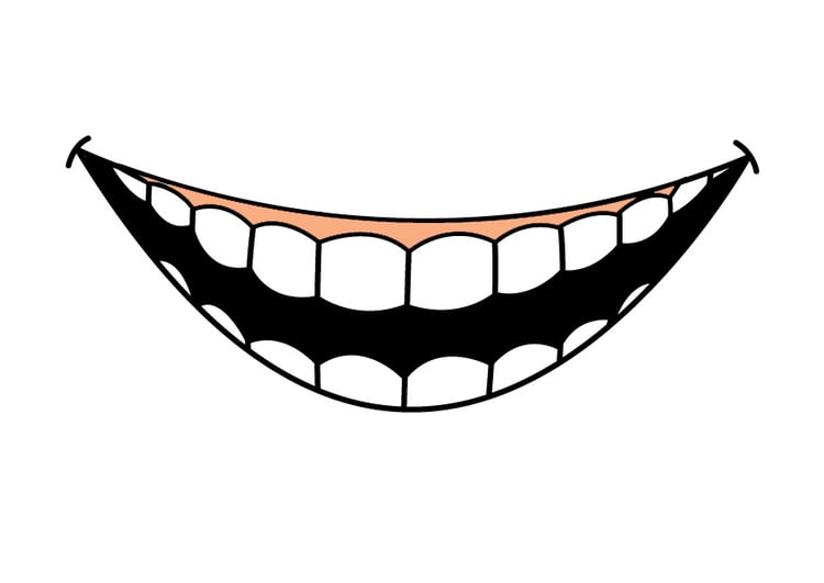 immagine denti