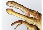 immagini Dinosauro Irritator