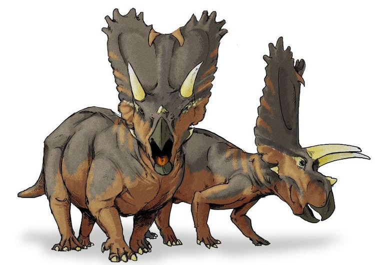 immagine Dinosauro Pentaceratops