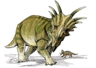 Dinosauro Styracosauro