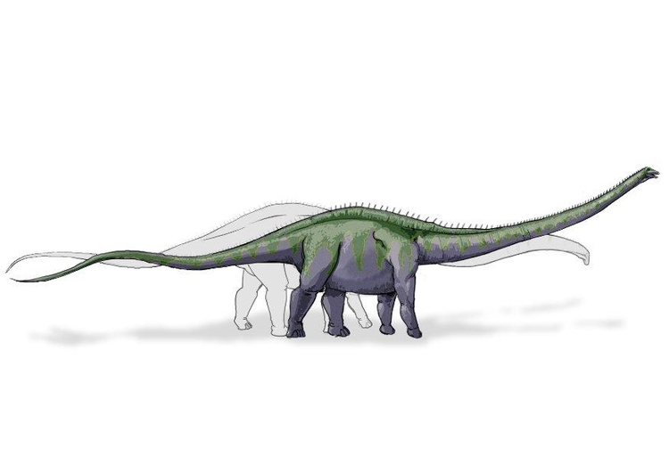 immagine Dinosauro Supersauro