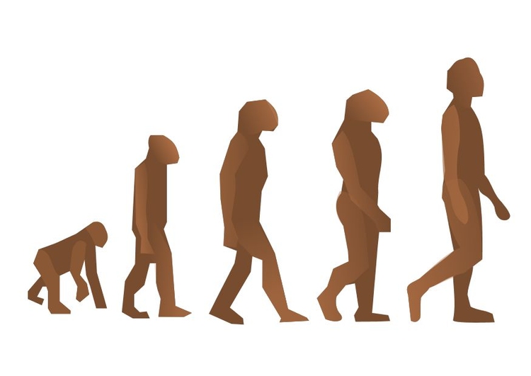 immagine evoluzione del uomo