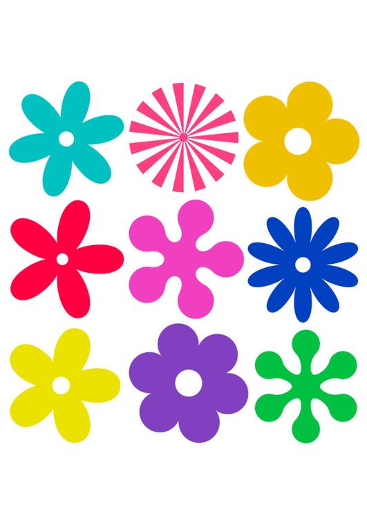 fiori